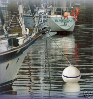 commercial mooring buoy