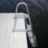 picture of ladder in the water