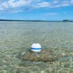 Aqua Lantern 14 inch Illuminating Solar Buoy