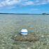 Aqua Lantern 14" Illuminating Solar Buoy