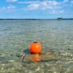 Aqua Lantern 14 inch orange solar buoy