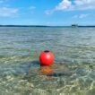 Aqua Lantern 14 inch red solar buoy