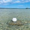 Aqua Lantern solar buoy white day view