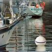 Residential mooring buoy